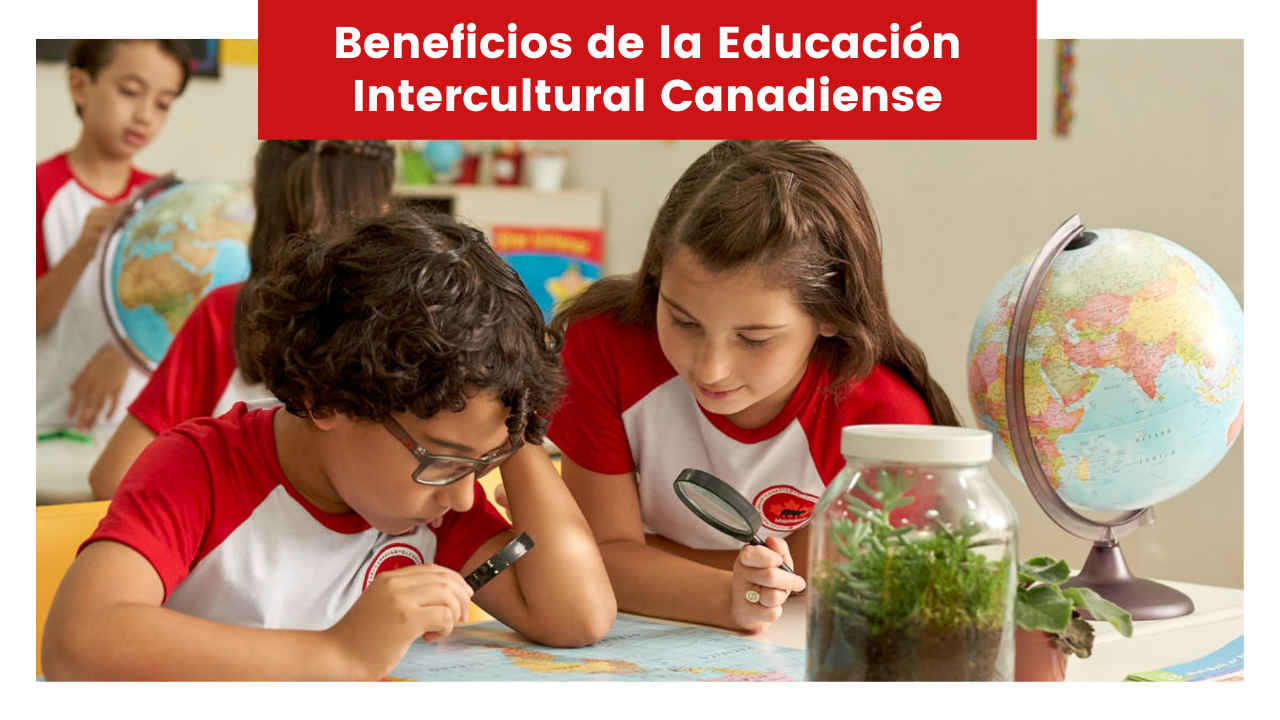 En este momento estás viendo Beneficios de la Educación Intercultural Canadiense